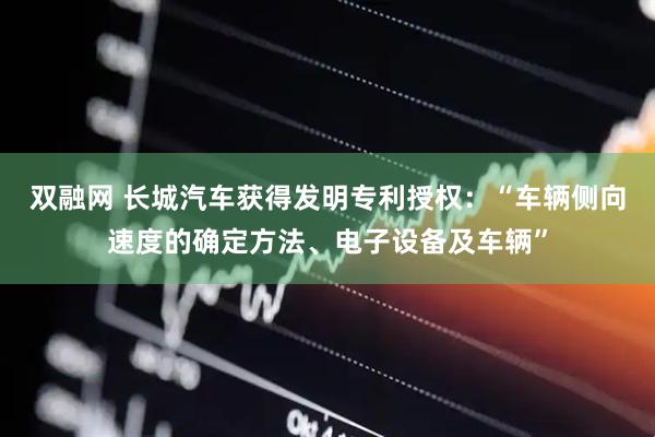 双融网 长城汽车获得发明专利授权：“车辆侧向速度的确定方法、电子设备及车辆”
