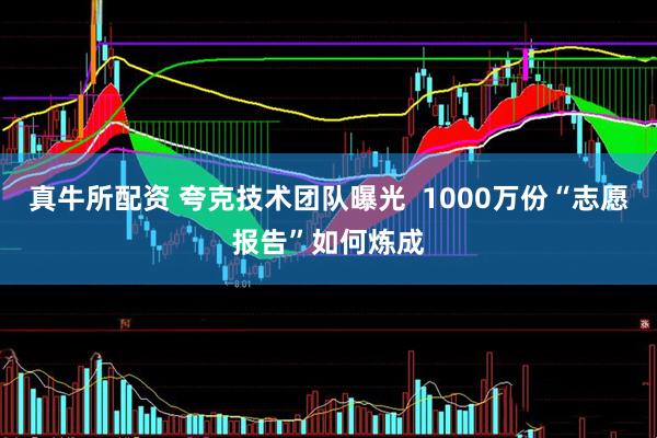 真牛所配资 夸克技术团队曝光  1000万份“志愿报告”如何炼成
