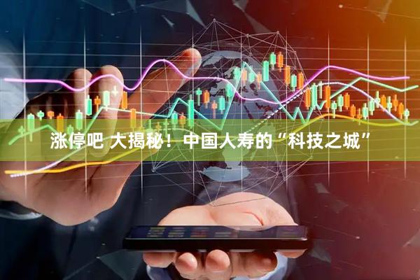涨停吧 大揭秘！中国人寿的“科技之城”