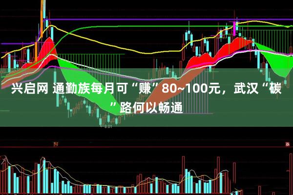兴启网 通勤族每月可“赚”80~100元，武汉“碳”路何以畅通